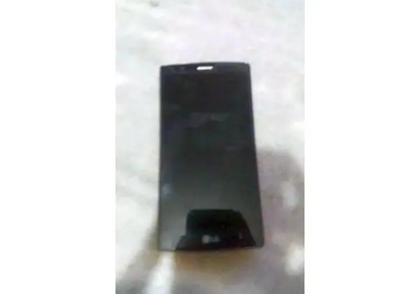 Lgg4
