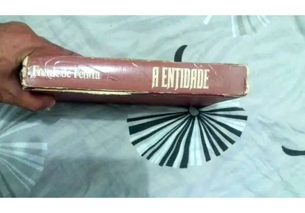 A Entidade