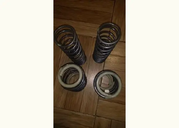 Molas esportivas