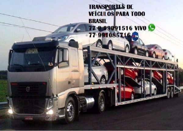 Transporte em caminhao cegonha para todo Brasil