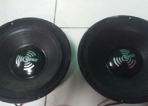 2 Auto falante Magnum 350 RMS Novo