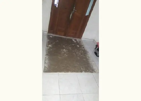 Tapete peludo