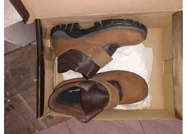 Bota