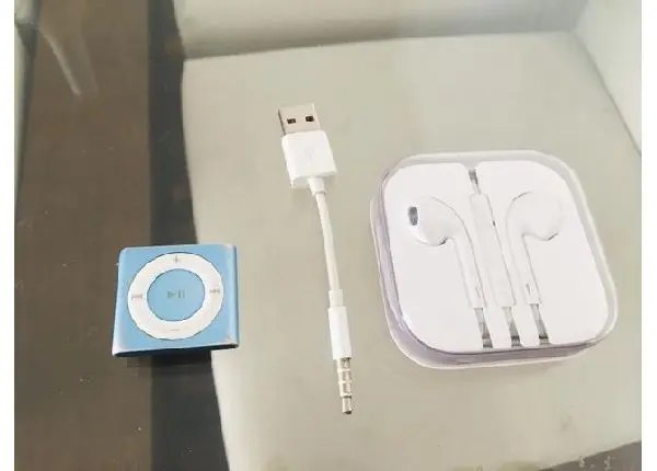 Ipod Apple