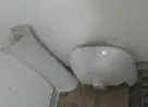 Pia