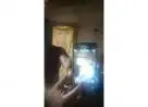 Samsung gran praime funciona tudo zap *