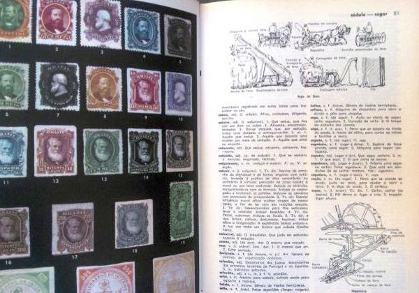 Novo dicionário brasileiro melhoramentos ilustrado