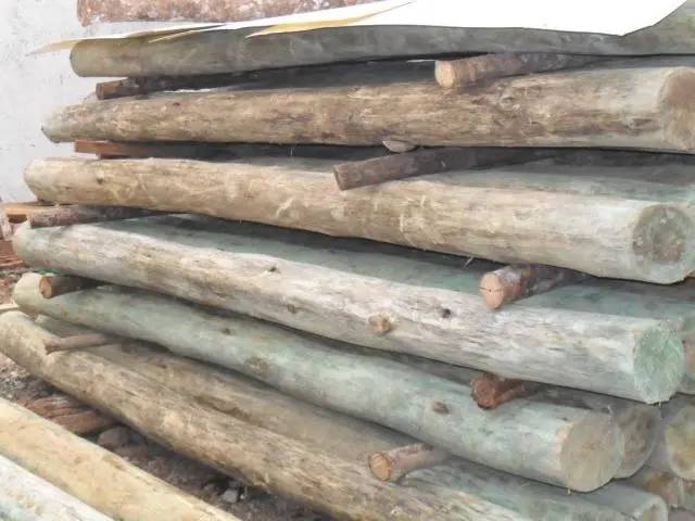Postes de Eucaliptos Tratado para outdoor