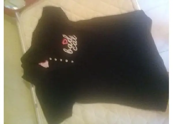 Bad cat