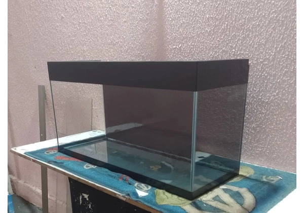 Aquário