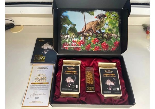 Café mais caro do mundo - Luwak wild coffee