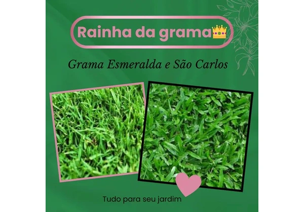 VENDA DE GRAMA.
