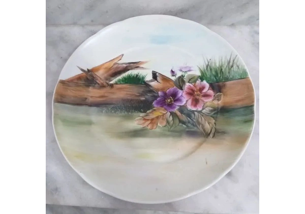 2 Pratos de Porcelana Schmidt Pintados a Mão