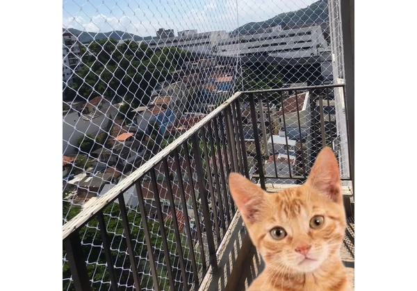 Telas de proteção orçamento 24 hs