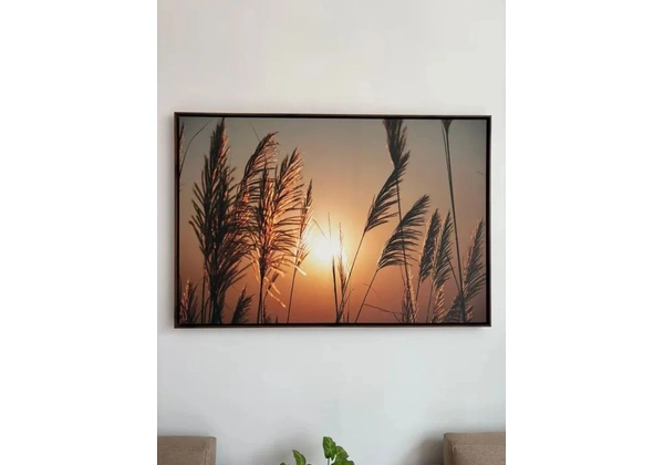 Quadro sem Uso