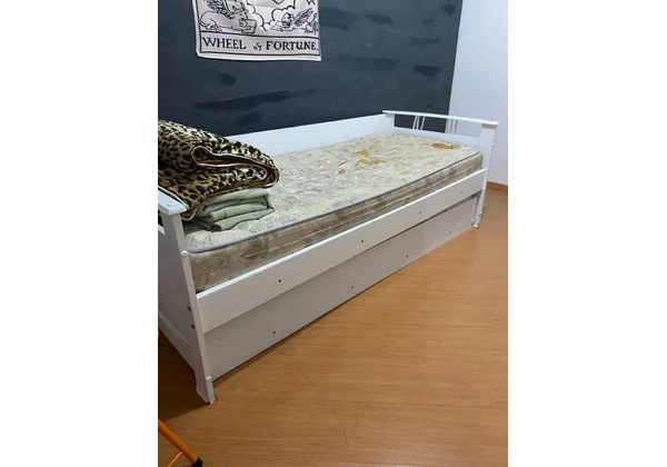 Bicama c/ colchões
