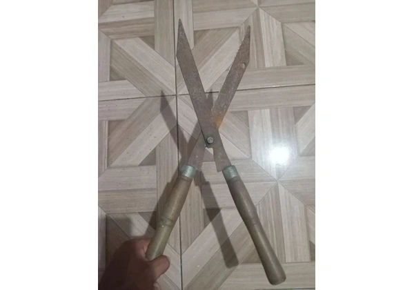 Tesourão 15 reais