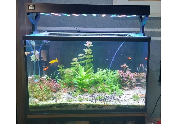 Vendo luminária para aquário plantado 70 cm