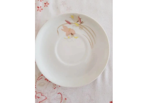 Pires Porcelana Schmitd Branco Floral Sem Filete - Reposição