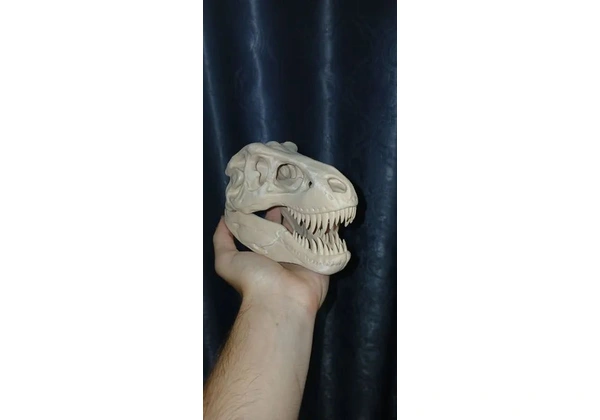 Cabeça de T-Rex decorativa.