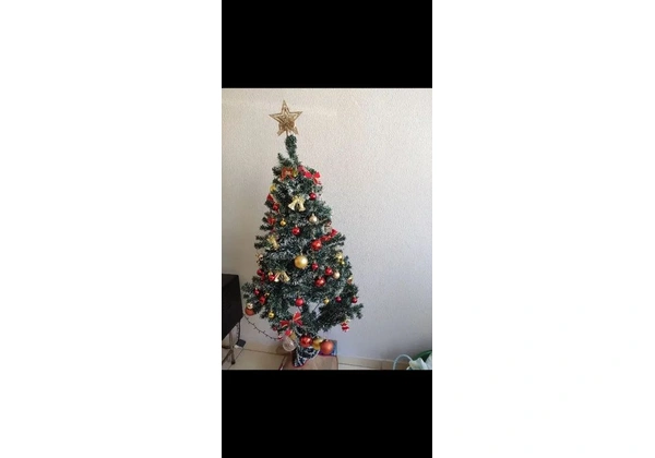 Árvore de natal nevada