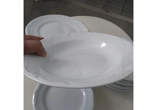 16 Pratos de Porcelana Schmidt