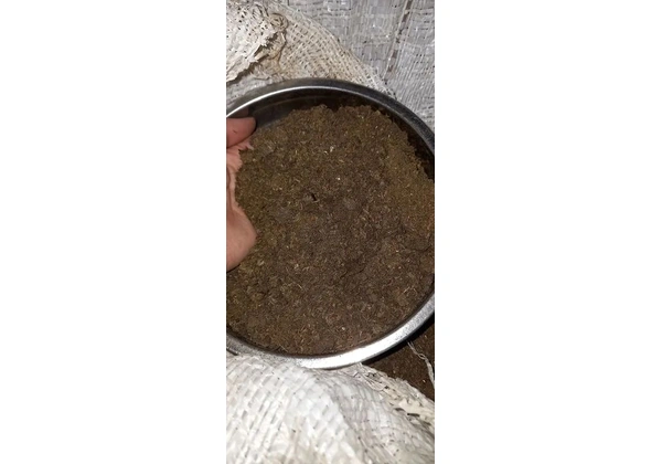 Esterco de Gado Diretamente do Curral Pacote de 10kg
