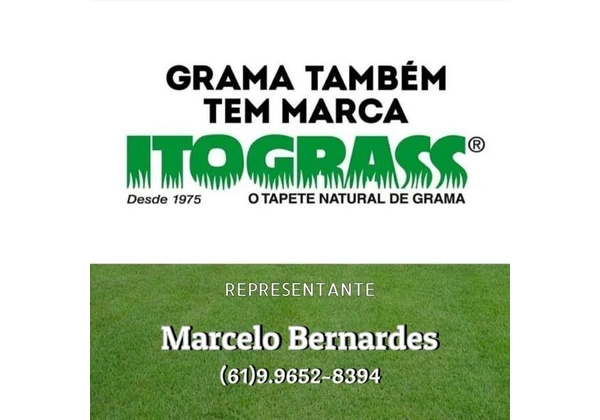 Grama Esmeralda, São Carlos, Batatais
