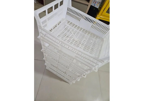 6 Caixas Organizadoras