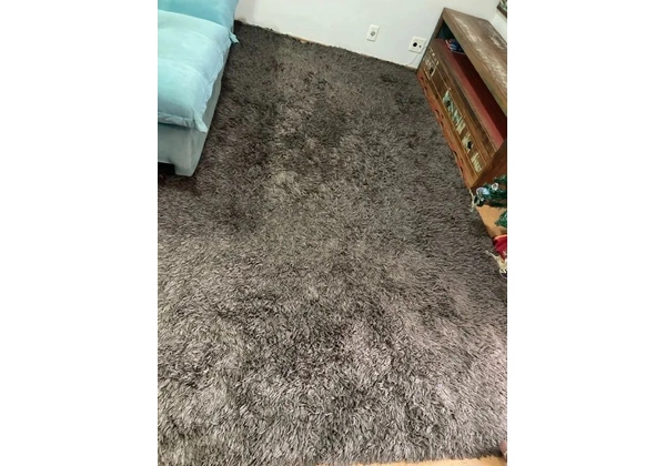 Tapete Para Sala de Estar 2, 00x3, 00 Balé