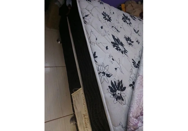 Cama box 250