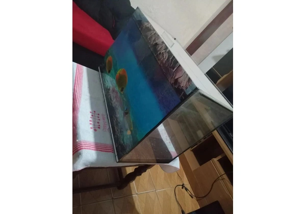 Aquário de 100 Litros com Decoração