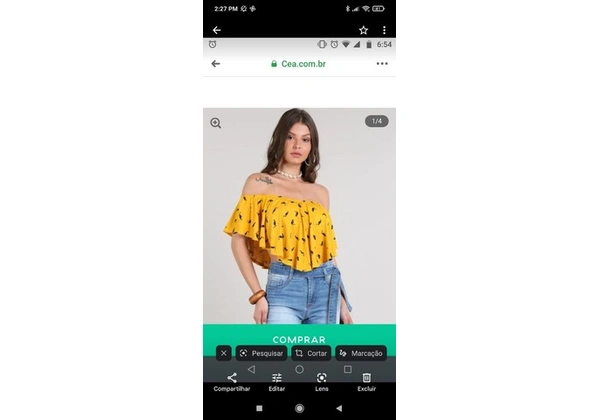 Blusa