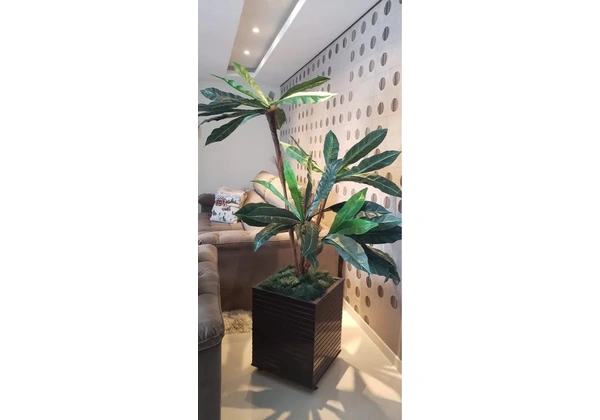 Cachepô para decorar seu ambiente