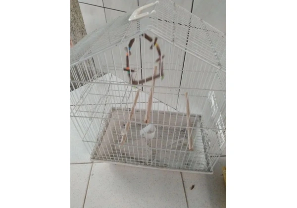 Gaiolas