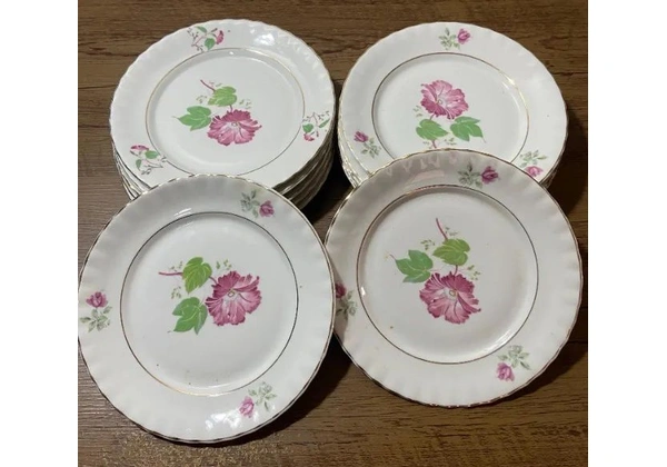 Jogo de porcelana Schmidt - Rio do testo (12 peças)