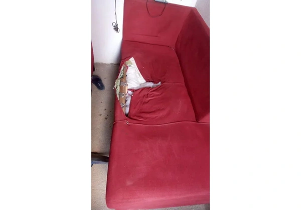 sofa