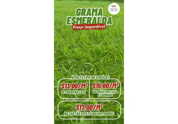 Grama Esmeralda - Preço Imperdível!