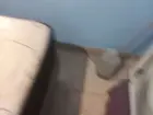 Cama box quueen, usada