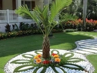 PAISAGISMO, JARDINAGEM EM GERAL