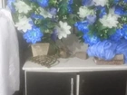 Trio de arranjos