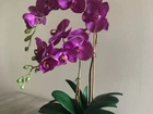 Orquídea artificial