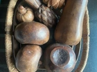 FRUTEIRA DECORATIVA