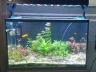 Vendo luminária para aquário plantado 70 cm