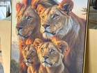 Quadro decorativo família de leões em moldura dourada