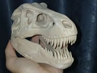 Cabeça de T-Rex decorativa.