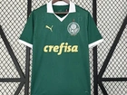 Camis 2024 Palmeiras Home Nova