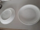 pratos rasos