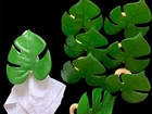 Porta guardanapo costela de Adão - novo - kit com 8