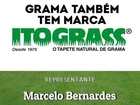 Grama Esmeralda, São carlos, Batatais